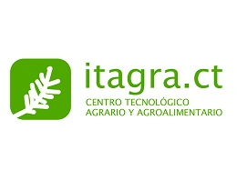 imagen 10